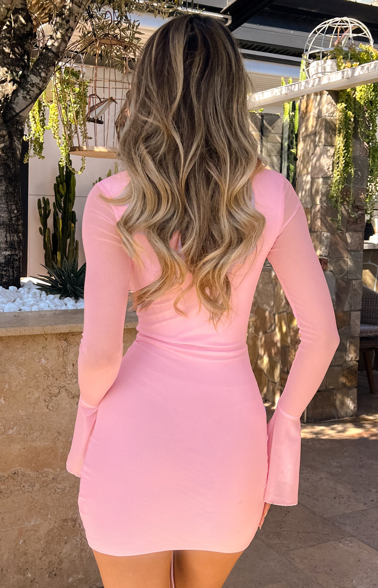 Scripture Pink Mesh Mini Dress